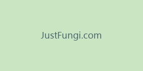 JustFungi.com