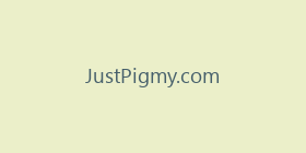JustPigmy.com
