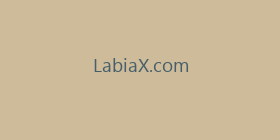 LabiaX.com