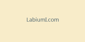 LabiumI.com
