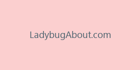 LadybugAbout.com
