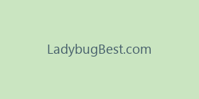 LadybugBest.com