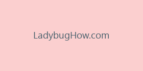 LadybugHow.com