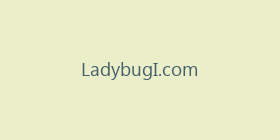 LadybugI.com