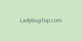 LadybugTop.com