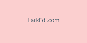LarkEdi.com