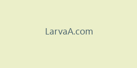 LarvaA.com