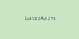 LarvaeA.com