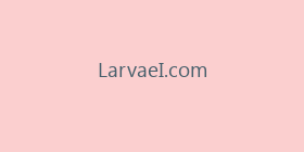 LarvaeI.com