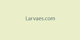 Larvaes.com