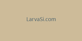 LarvaSi.com