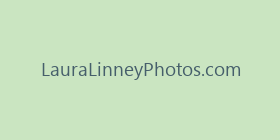LauraLinneyPhotos.com