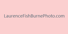 LaurenceFishBurnePhoto.com