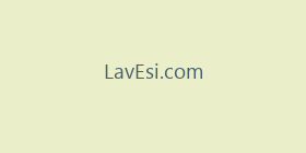 LavEsi.com