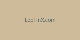 LepTinX.com