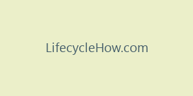 LifecycleHow.com