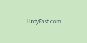 LintyFast.com