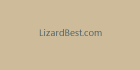 LizardBest.com