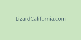 LizardCalifornia.com
