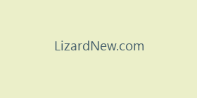 LizardNew.com