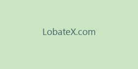 LobateX.com