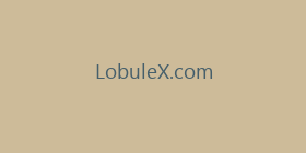 LobuleX.com