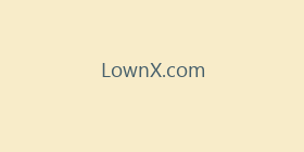 LownX.com