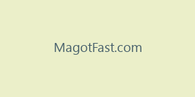 MagotFast.com