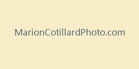 MarionCotillardPhoto.com