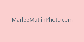 MarleeMatlinPhoto.com