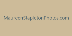 MaureenStapletonPhotos.com
