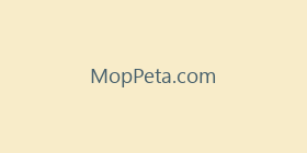 MopPeta.com