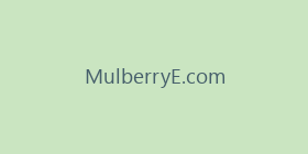 MulberryE.com