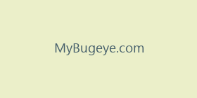 MyBugeye.com