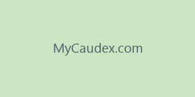 MyCaudex.com