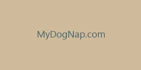 MyDogNap.com