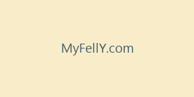 MyFellY.com