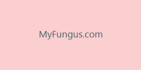 MyFungus.com