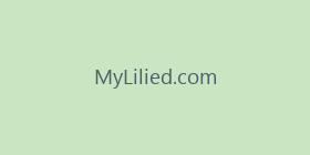 MyLilied.com