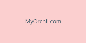 MyOrchil.com