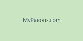 MyPaeons.com