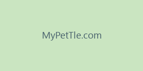 MyPetTle.com