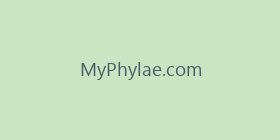 MyPhylae.com