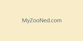 MyZooNed.com