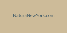 NaturaNewYork.com