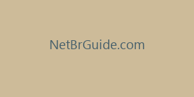 NetBrGuide.com