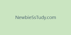 NewbieSsTudy.com