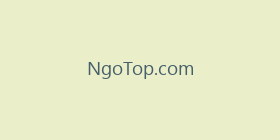 NgoTop.com