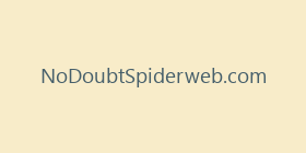 NoDoubtSpiderweb.com