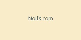 NoilX.com